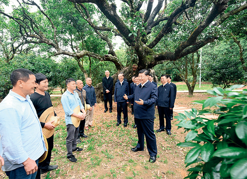 2023年4月10日至13日，中共中央總書記、國家主席、中央軍委主席習(xí)近平在廣東考察。這是11日下午，習(xí)近平在茂名高州市根子鎮(zhèn)柏橋村荔枝種植園，同現(xiàn)場技術(shù)人員親切交流。